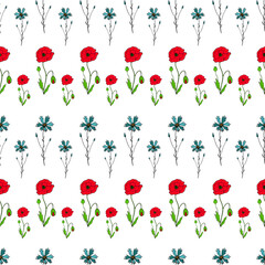 Seamless pattern of Knapweed, Centaurea and Poppy flower with stems and leaves. Colorful plants on white background in engraving vintage style. Botanical hand drawn illustration
