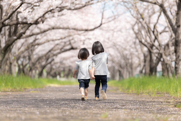 桜並木の公園で遊んでいる姉妹 - obrazy, fototapety, plakaty