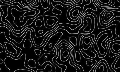 Vector pattern topographic map. Very suitable for mapping needs, background design, geology, geography, and so on