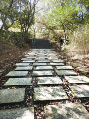 石畳の山道
