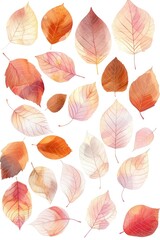 Fototapeta na wymiar Watercolor Style Assortment of Autumn Leaves in Warm Tones, Isolated for Easy Use, Perfect for Seasonal Design and Art Projects