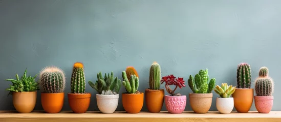 Fototapeten A straight row of various cacti and succulents in pots placed neatly on a rustic wooden shelf. The plants are thriving and adding a touch of greenery to the indoor space. © pngking