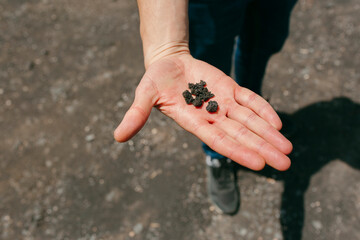 Anonymous human hand holding volcanic sand on the palm 