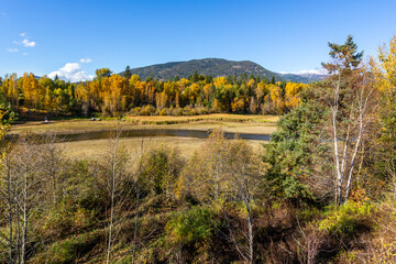 Beautiful fall view of a park area in Idaho in fall season