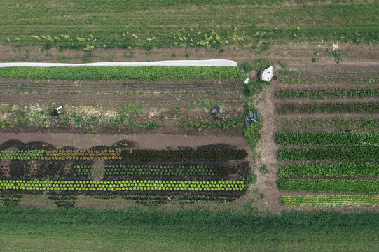Aerial view of farm