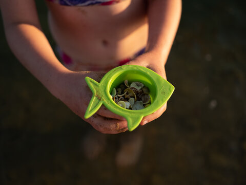 Child showing the shells