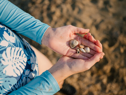 Hand full of shells