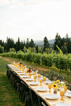 Elegant Outdoor Dinner Party in a Vineyard