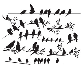 Birds EPS, Birds on Wires, Bird silhouette, Birds and branch, Flock of Birds EPS, Silhouette of birds EPS, Wire EPS