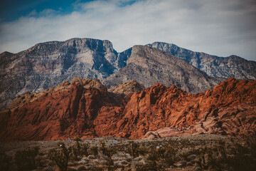 Desert Landscape in Mountains