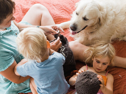 knitting with children and pets