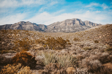 Desert Landscape in Mountains