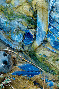 Plastic compilation with moss by the Dead Sea 