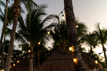 Beach summer party background