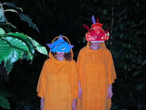 Two monsters in a forrest