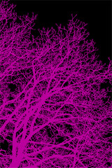 ramas, arboles, siluetas, vegetacion, roble, bosque, paisaje, vector, hojas, abstracto, sauce, tronco, malesa, pegatina