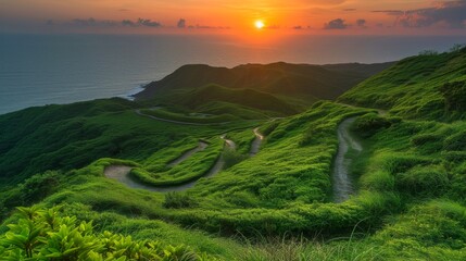 Aerial view of green forest with road