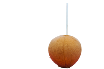 Iced coconut on a beach kiosk table..Brazilian tropical beach in hot summer on Ilhabela. Coconut concept. object isolated.