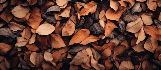 Foto op Canvas A detailed view of a stack of wood chips lying on a bed of dried leaves, showing the texture and patterns of the pieces. © pngking
