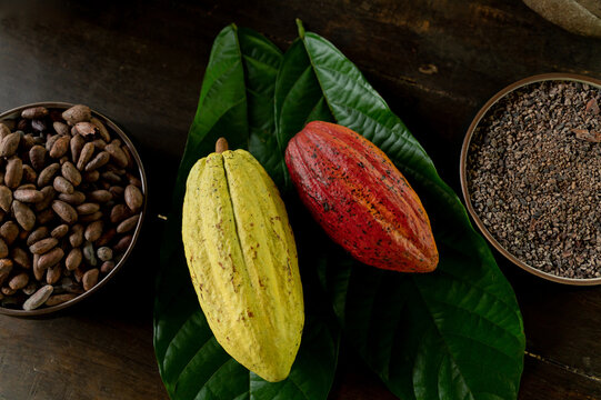 Cocoa bean and chocolate, organic food  farm in Costa Rica