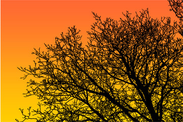 Obraz premium ramas, arboles, siluetas, vegetacion, roble, bosque, paisaje, vector, hojas, abstracto, sauce, tronco, malesa, pegatina