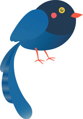 Taiwanese bird illustration