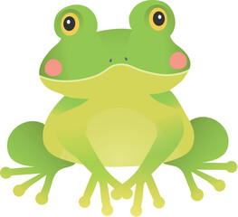 Taiwanese tree frog illustration 