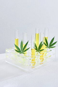 Research of hemp oil in glass tubes 