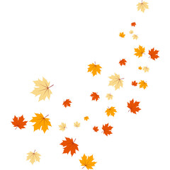 Fallen Leaves Vector