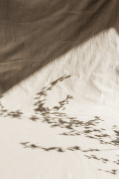 Shade of a spring blossom on a beige material