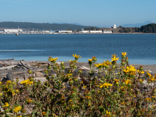 Waterfront view from Windjammer Park - Oak Harbor