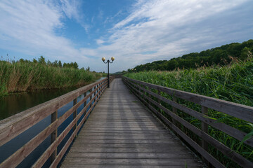 View of the promenade in the village of Yantarny along the Baltic Sea line on a sunny summer day, Kaliningrad region, Russia