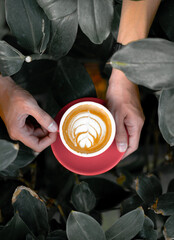 coffee in verdant leaves