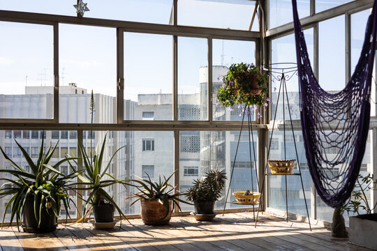 Corner of full-height panoramic window: hammock, plants and buildings