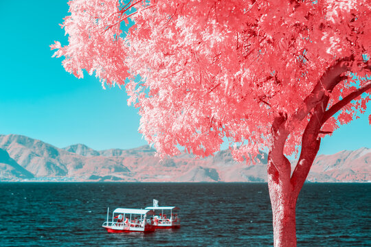 Fototapeta Infrared photography of lake, mountain, tree, boat.