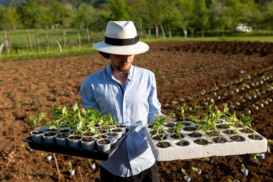 man holding two trays with seedlings