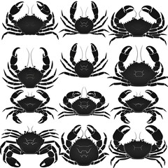 set of  silhouette crab on white
