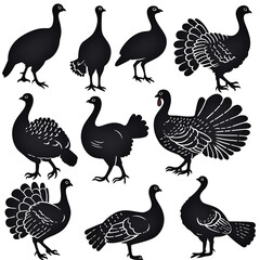 Naklejka premium set of turkey silhouettes on white