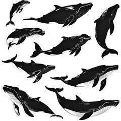 a collection of whale on white, silhouette whale - obrazy, fototapety, plakaty