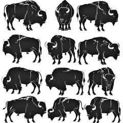 set of buffalo silhouette on white