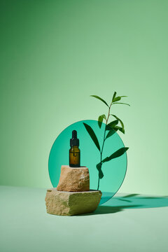 Brown bottle of essential oil and tea tree on green background