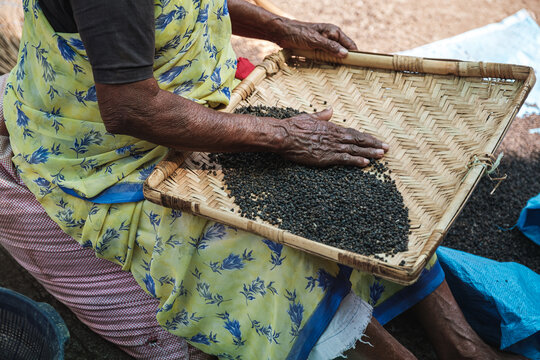 A lady sieving pepper