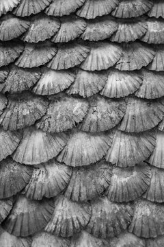 A Toxa church made of shells