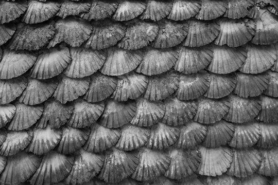 A Toxa church made of shells