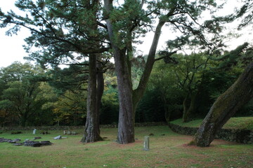 Jeju, Jeju island, Jeju-do, Korea, Korean style, Travel