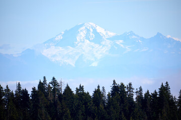 A giant mountain visible in the distance behind a forest.