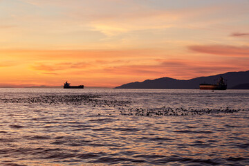 Cargo ships and swarms of birds swimming in the sea at dusk in front of the mountains.