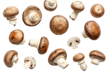 Top view. Collection of shiitake mushrooms isolated on transparent background.
