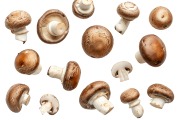 Top view. Collection of shiitake mushrooms isolated on transparent background.