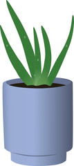 illustration of aloe vera plant in pot 